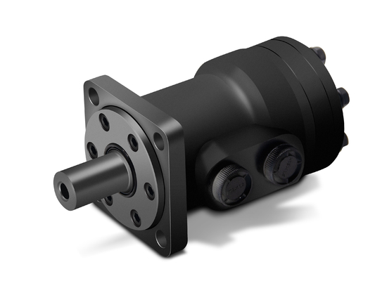 Dirigir el motor hidráulico de alta presión 50Ml/R 100Ml/R 200Ml/R de OMP KM1